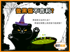 養黑貓不吉利? 五分鐘帶您了解黑貓的神話和迷信，破除3大迷思!